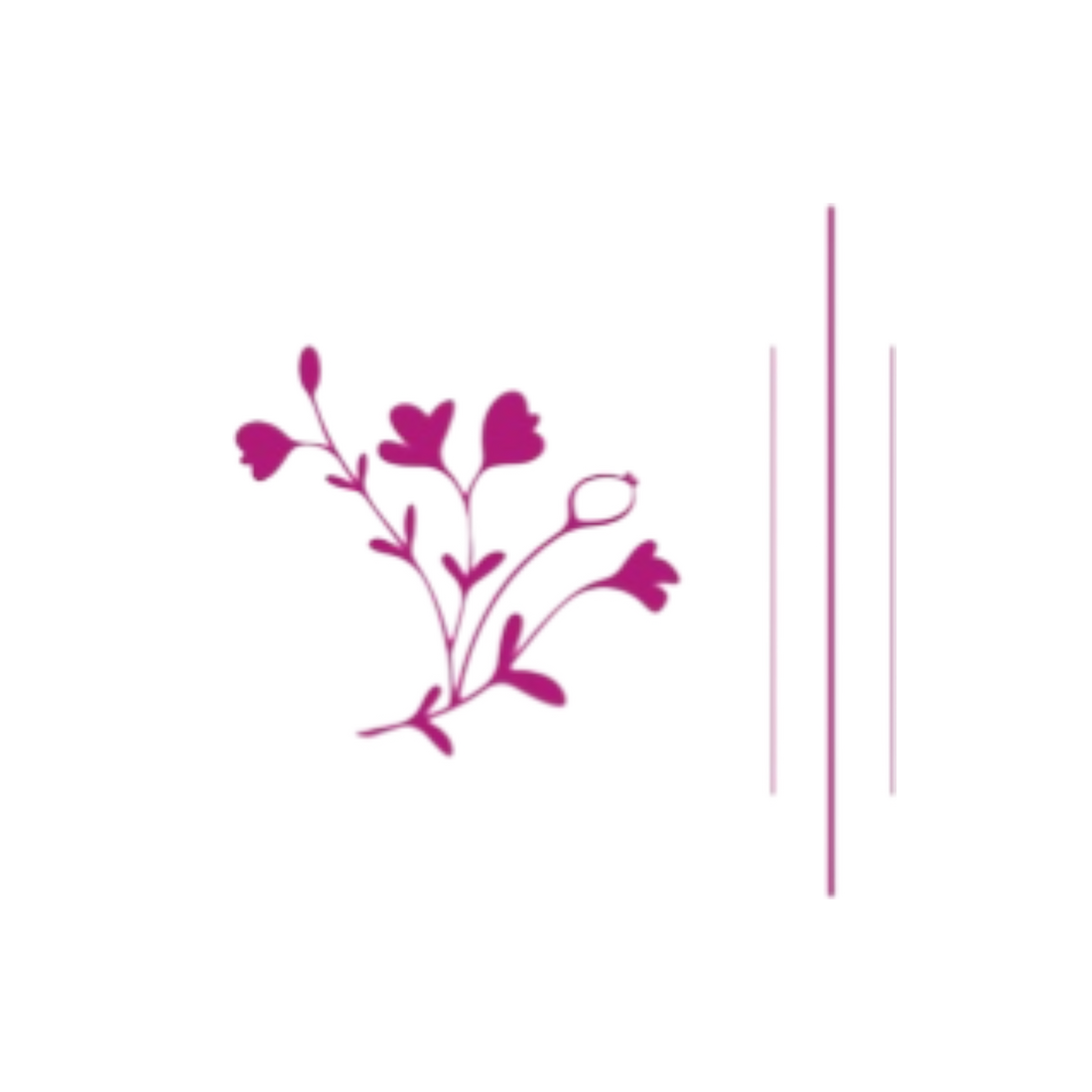 AmilineBijoux - bijoux acier inoxydable 