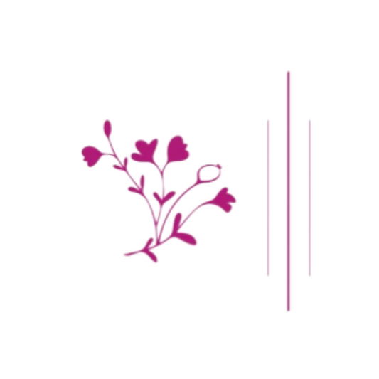 AmilineBijoux - bijoux acier inoxydable 