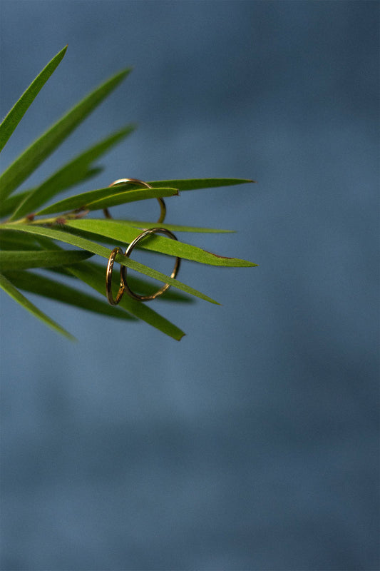 Boucles d'oreilles créoles dorées posées sur des feuillages verts, illustrant une démarche de bijoux éthiques et durables