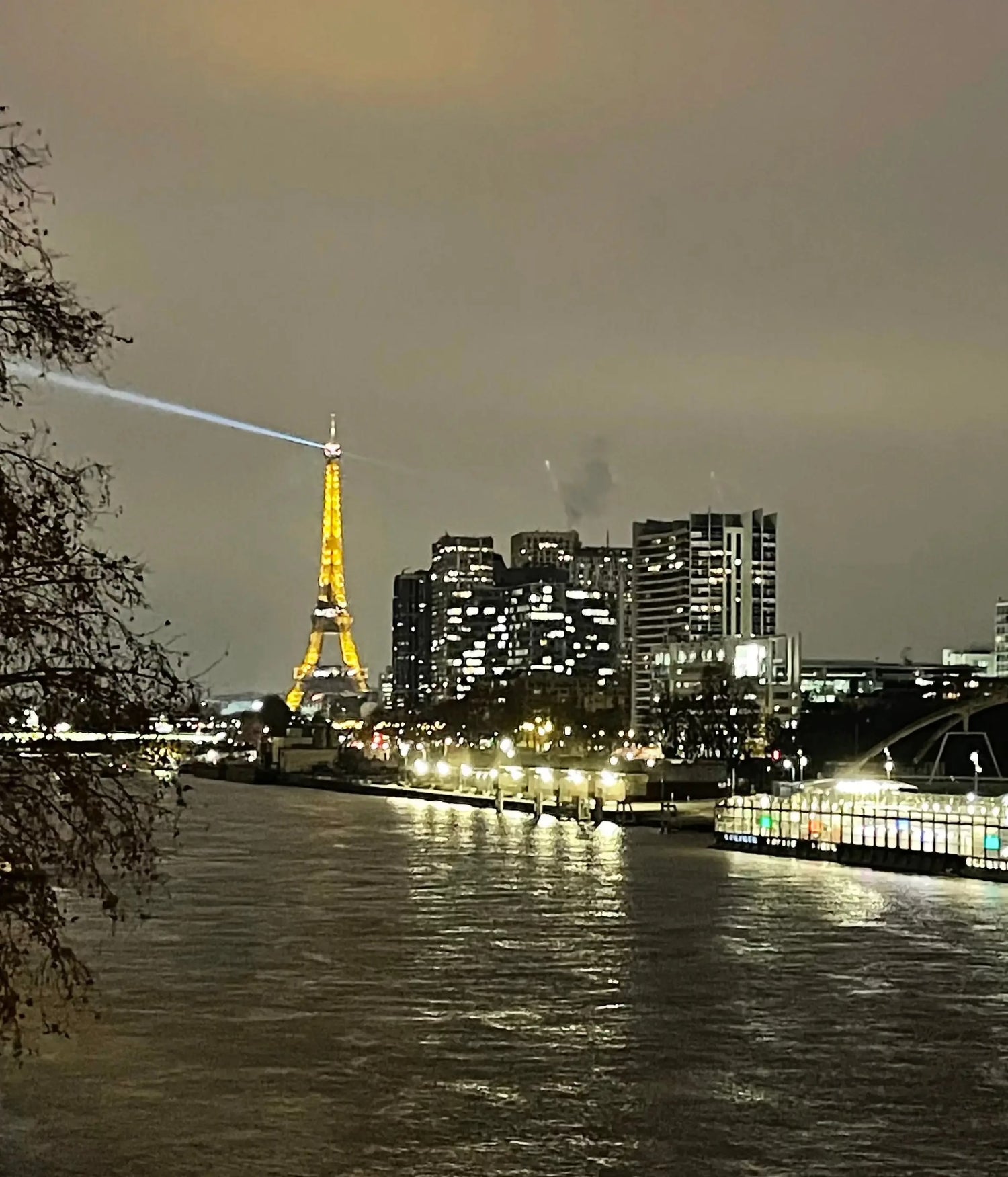 Paris et a tour eiffeil la nuit pres de la seine