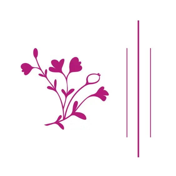 Logo carré Amiline Bijoux - Bijouterie - Écoresponsable