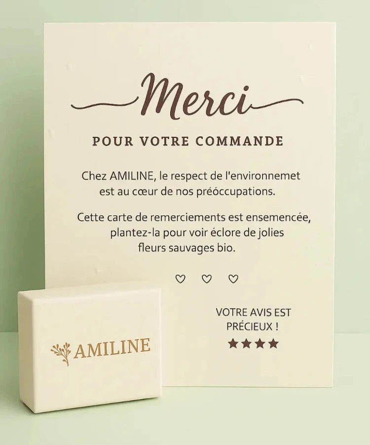 Carte_ethique_ecoresponsable_AMILINE