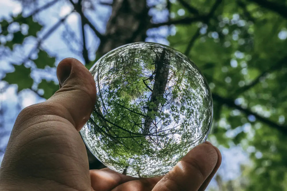 globe transparent reflétant des arbres